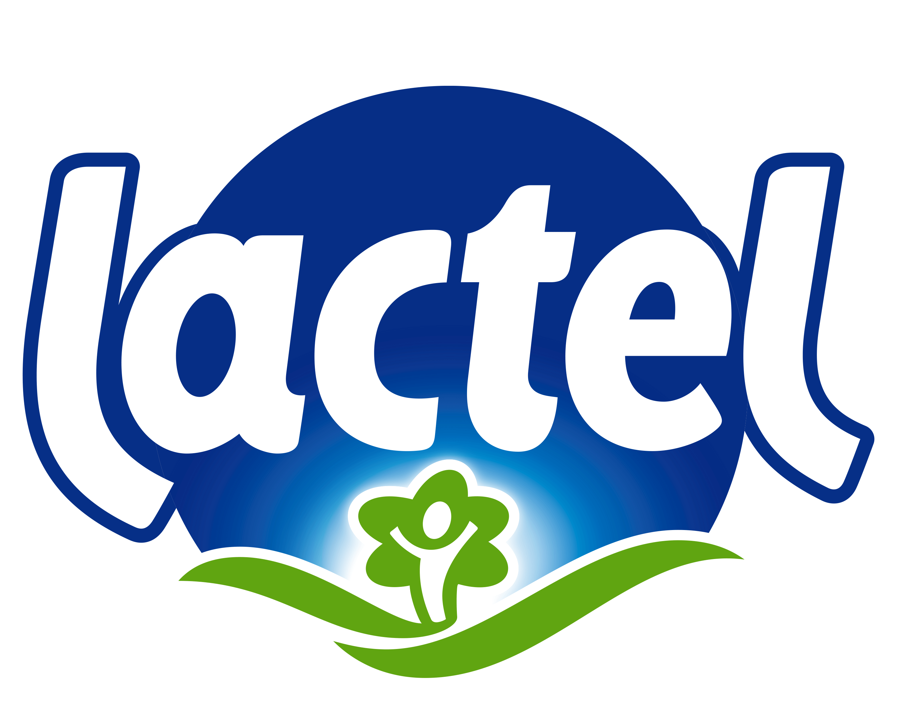Lait Bio écrémé Matin Léger Sans lactose - Lactel - 1L - Drive Z